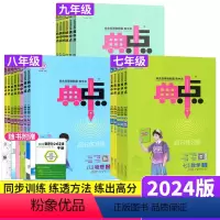 语数英[人教版3本] 七年级下 [正版]2024典中点七八年级上下册语文英语人教版外研九年级物理全一册教科版化学鲁教 荣