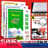 [正版]培优宝典小学知识集锦全国通用全套3本 小学知识集锦语文数学英语 四五六年级小学语文重点知识集锦 小升初基础知识