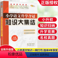 [正版]小学语文升学夺冠知识大集结 五六年级毕业升学总复习小考辅导资料书68所名校小升初知识大集结语文专项训练小学重点