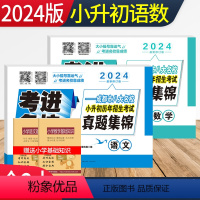 [正版]2024版考进名校小升初真题卷语文数学试卷全套 成都市八大名校小升初历年招生考试真题集锦 四川重点中学小学五六