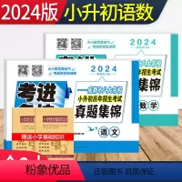 [正版]2024版考进名校小升初真题卷语文数学试卷全套 成都市八大名校小升初历年招生考试真题集锦 四川重点中学小学五六