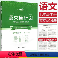 语文 七年级下 [正版]周计划初中语文阅读拓展优化训练七年级下册语文周计划 初中基础知识手册大全通用版基础知识训练 初一