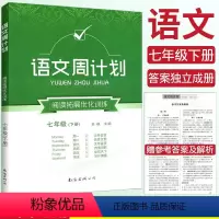 语文 七年级下 [正版]周计划初中语文阅读拓展优化训练七年级下册语文周计划 初中基础知识手册大全通用版基础知识训练 初一