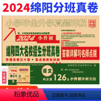 [正版]2024新版绵阳四大名校招生分班真卷语文小升初真题卷2023年绵阳市重点八大名校入学招生考试真题详解东辰英才南