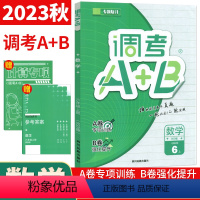 数学 北师大版 六年级上 [正版]2024调考生云思路调考A+B数学六年级上册北师大版 小学调考a十b六年级上专题分类同