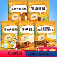 [正版]全套5本 小学一年级下册语文专项训练阅读理解课文内容填空看拼音写词语生字注音句子训练反义词量词同音多音字课堂同