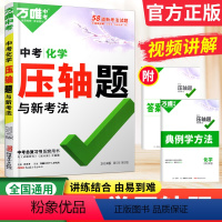 [正版]2024化学压轴题物质的转化与推断实验探究题专项训练 初中化学辅导书初三中考化学复习资料九年级化学练习题模拟真