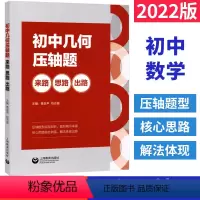 数学 [正版]初中几何压轴题来路思路出路 七八九年级初中数学解题方法与技巧初一二初三数学中考专题训练习题 初中中考数学压