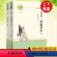 大卫·科波菲尔 [正版]大卫科波菲尔原著 高中语文配套名著阅读课程化丛书 查尔斯狄更斯著人民文学出版社南方出版社文学读物