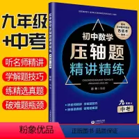 [正版]初中数学压轴题精讲精练 九年级+中考数学书同步突破训练练习题 初三中考真题数学知识大全题库解题技巧冲刺全面提升