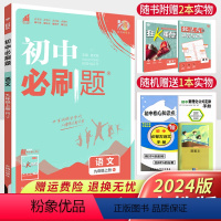 [正版]初中必刷题九年级上册语文人教版RJ 2024版理想树初中语文必刷题九上同步训练单元练习题册附狂K重点 初三中考