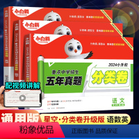 真题分类卷❤语文+数学+英语[3册] 小学通用 [正版]小白鸥2024星空小升初分类卷招生真题语文数学英语五年真题试卷集