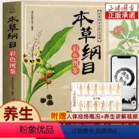 [正版]本草纲目原版全套李时珍彩图原著白话版药草书本草纲目版中医养生入门书籍大全黄帝内经中药材书籍中草药图解大全书中医