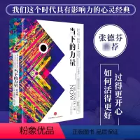 [正版]当下的力量 新版白金版 硬皮精装 埃克哈特·托利著张德芬 活在当下 自我实现励志读物心灵大师经典之作排行 书籍