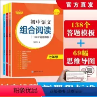 [ 3本套]组合阅读789年级 初中通用 [正版]赞读 初中语文阅读组合训练 138个答题模板 公式法答题技巧课外阅