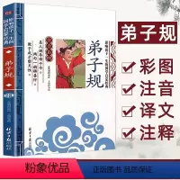 弟子规 [正版]完整版全套8本 小巴掌童话 张秋生彩图注音版一二三年级课外书阅读班主任建议阅读小学生阅读书籍经典童话故事