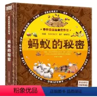 蚂蚁的秘密 [正版]奇妙自然生命立体书 蚂蚁的秘密 儿童3d翻翻立体书 了解生命益智游戏书籍幼儿婴儿绘本1-2-3-4-