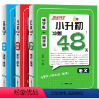 [全3册]语数英 全国通用 小学升初中 [正版]2024新版阳光同学小升初冲刺48天语文数学英语全套人教版小学六年级升七
