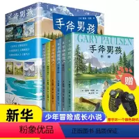 手斧男孩系列[全套6册] [正版]赠手链手斧男孩系列全套6册纽伯瑞儿童文学大奖小说三四五六年级小学生课外阅读书籍冒险探险