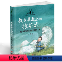 我在草原上的牧羊犬 [正版] 我在草原上的牧羊犬 黑鹤动物传奇故事 注音版 美绘悦读桥梁书 6-9岁 一二年级拼音版儿童