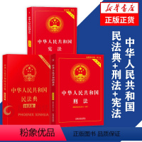 [正版]套装3册中华人民共和国民法典+刑法+ 法律书籍法律汇编法律法规 书籍 凤凰书店