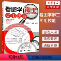 [正版]看图学铆工实用技能 王良成 铆工操作手册 实用铆工手册 铆工基础知识书 图解铆工入门自学书籍 冶金工业 机械制