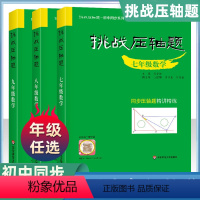 七八九年级 数学[套装3册] 初中通用 [正版]挑战压轴题中考七八九年级初一二三上下册同步压轴题练习册基础知识大全举一反