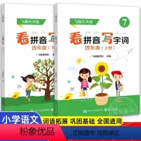 2册]看拼音写字词四年级下+上 小学通用 [正版]飞翔看拼音写字词 一二三四五年级下册上册 小学语文练习册人教版认字写字