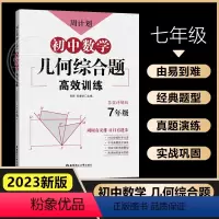 初中数学几何综合题 七年级/初中一年级 [正版]初中数学几何综合题高效训练 七年级7年级上下册刷代数题同步训练题库真题