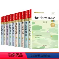 [全10册]文学名家作品精选 [正版]小学生散文读本 朱自清散文精选 老舍冰心鲁迅叶圣陶名家散文集精选 四年级阅读课外书