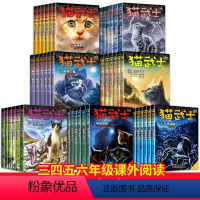 猫武士1-7部曲[全套42册] [正版]猫武士全套42册第七部曲首部曲一二三四五六7八部曲外传传奇的猫族 中小学生三四五