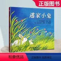 [正版]逃家小兔绘本硬壳精装 纽约时报年度儿童图书 0-3-4-5-6周岁幼儿园小学一二年级宝宝儿童启蒙故事读物图画童