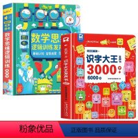 数学逻辑思维训练发声书+识字大王3000字 [正版]会说话的数学逻辑思维早教有声书手指点读发声书学前数学启蒙认知幼儿园思