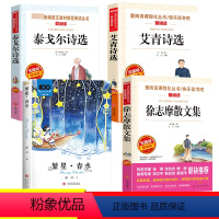 [全4册]小学生现代诗歌 [正版]小学生现代诗歌冰心繁星春水艾青泰戈尔诗选徐志摩诗歌全集 4-5-6年级课外阅读书籍三四