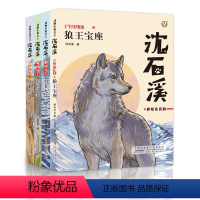 [全套4册]狼王宝座+勇者无畏+王位之争+虎狼大战 [正版]虎狼大战全套 沈石溪动物小说故事书fb王位之争狼王宝座勇者无