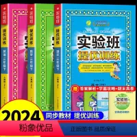 [提优训练]3下 语数英3本 人教版 小学通用 [正版]2024新版春雨实验班提优训练小学一二三四五六年级上下册语文数学