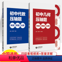 初中数学压轴题 几何+代数[套装2册] 初中通用 [正版]初中代数几何压轴题来路思路出路七八九年级数学专项训练 初一初二