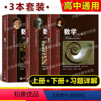 高中学科强基丛书 数学 上册+下册+习题详解 高中通用 [正版]高中学科强基丛书数学上下册+习题详解知识梳理例题解析高中