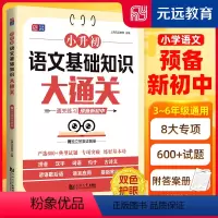 小升初语文基础知识大通关 小学升初中 [正版]小升初语文基础知识大通关三四五六年级小学生基础知识集锦小升初知识点词语积累