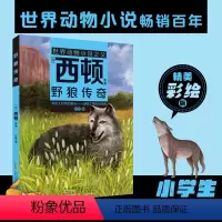 野狼传奇 [正版]野狼传奇 [加]西顿/ 原著 安韶编/安徽少年儿童出版社fb外国文学/动物小说