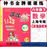 [正版]钟书金牌课课练六年级下册数学6年级下册第二学期上海初中同步课作业练习册沪教版六下课课练