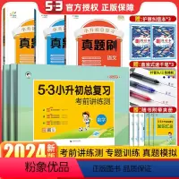 (6本)语文+数学+英语[总复习+真题刷] 小学升初中 [正版]2024版53小升初总复习必刷题人教版真题卷小学六年级下