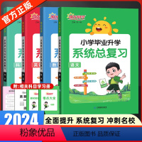 [语数英科学4本]系统总复习 小学升初中 [正版]2024版阳光同学小升初系统总复习人教版语文数学英语小升初总复习小学六