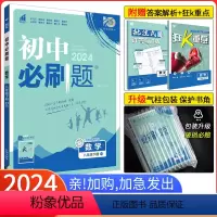 [北师版]数学 八年级下 [正版]2024新版初中必刷题八年级下册数学华师版HS 初二数学必刷题 8年级下册数学必刷题华