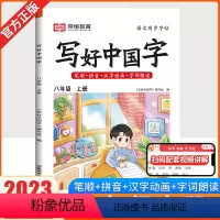 八年级上写好中国字 初中通用 [正版]2023写好中国字练字帖八年级上册下册人教版语文同步字帖写字课课练初中生控笔训练初