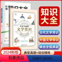 [2本套装]文学常识+数学知识大全 小学通用 [正版]小学数学知识大全考点刷上下册小学通用核心知识归纳练习真题小学四五六