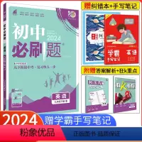 [译林版]英语 九年级上 [正版]2024新版初中必刷题九年级下册英语 人教版RJ 初三9年级英语下册 初中外语同步练习