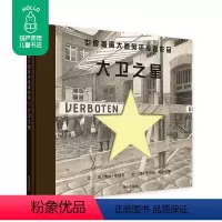 [正版]青葫芦 大卫之星 插画英诺森提作品鲁丝范德齐 明天出版社 在阅读故事的同时得到强烈的艺术震撼