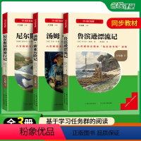 [全套3册]快乐读书吧六年级下册必读 [正版]全套4册 鲁滨逊漂流记六年级下册的课外书必读原著完整版汤姆索亚历险记尼尔斯