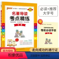名著导读考点精练 中考 九年级/初中三年级 [正版]2023版 初中名著导读考点精练中考人教版 冲刺 名著阅读理解专项训